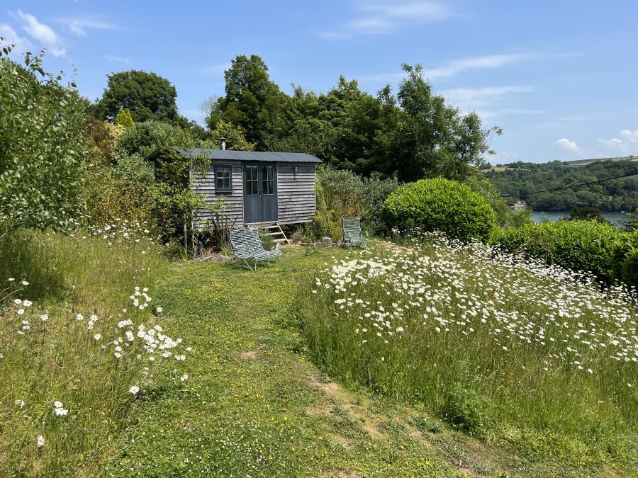 This garden is a soft and ecologically freindly approach to landscape design.